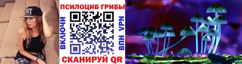 Псилоцибиновые грибы Psilocybe  Городовиковск 