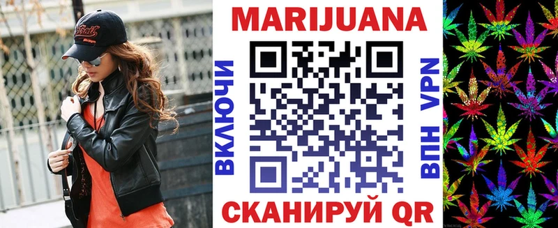гидра ССЫЛКА  купить наркотик  Городовиковск  Каннабис сатива 